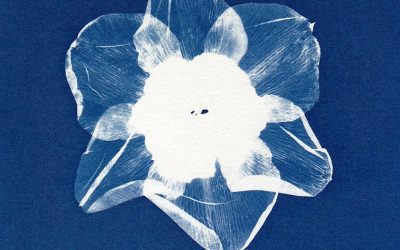 Against the Propaganda of the Paperless Lie: Print Lord’s Manifesto