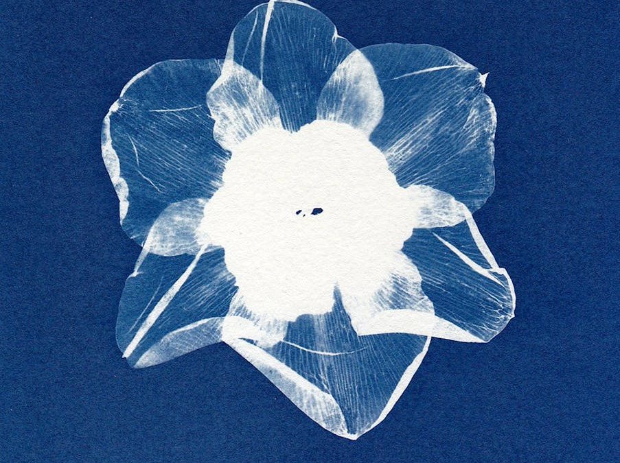 Against the Propaganda of the Paperless Lie: Print Lord’s Manifesto