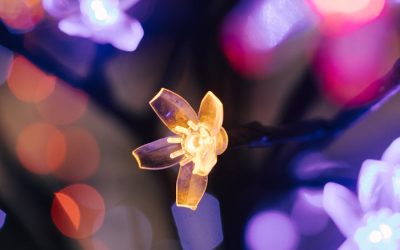 Event Agencies: Shine with Custom Branded LED Light Cubes at Your Next Do