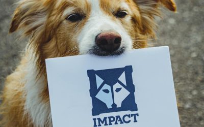 VDP for Restaurants and Hospitality: Personalising Every Guest Experience