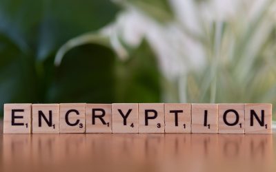 Safer Internet Day: Data Privacy and Ethical VDP Practices