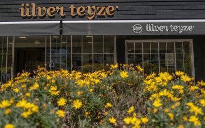 Spring Into Action: Seasonal Messaging on Custom Till Rolls