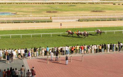 Horse Racing and Betting: High-Volume Printing That Performs