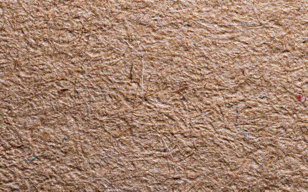 Print Longevity: Why Quality Materials Pay for Themselves