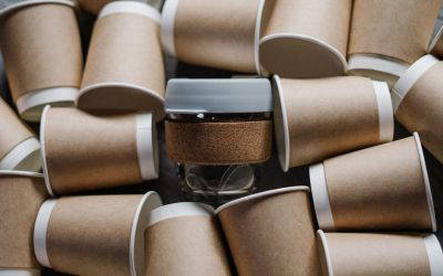 What Happens to Recycled Paper? The Lifecycle of a Sheet of Paper
